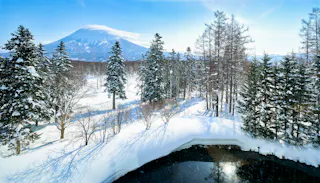 Grand Hirafu Onsens