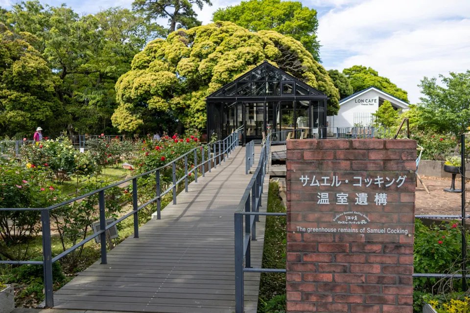 A greenhouse titled "The greenhouse remains of Samuel Cocking" is nestled in lush greenery, with a pathway leading to it. Red roses bloom in the garden beside the path, and a café sign is visible in the background.
