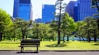 A wooden bench sits in a sunny park with neatly trimmed trees, lush green grass, and tall modern office buildings in the background under a clear blue sky.
