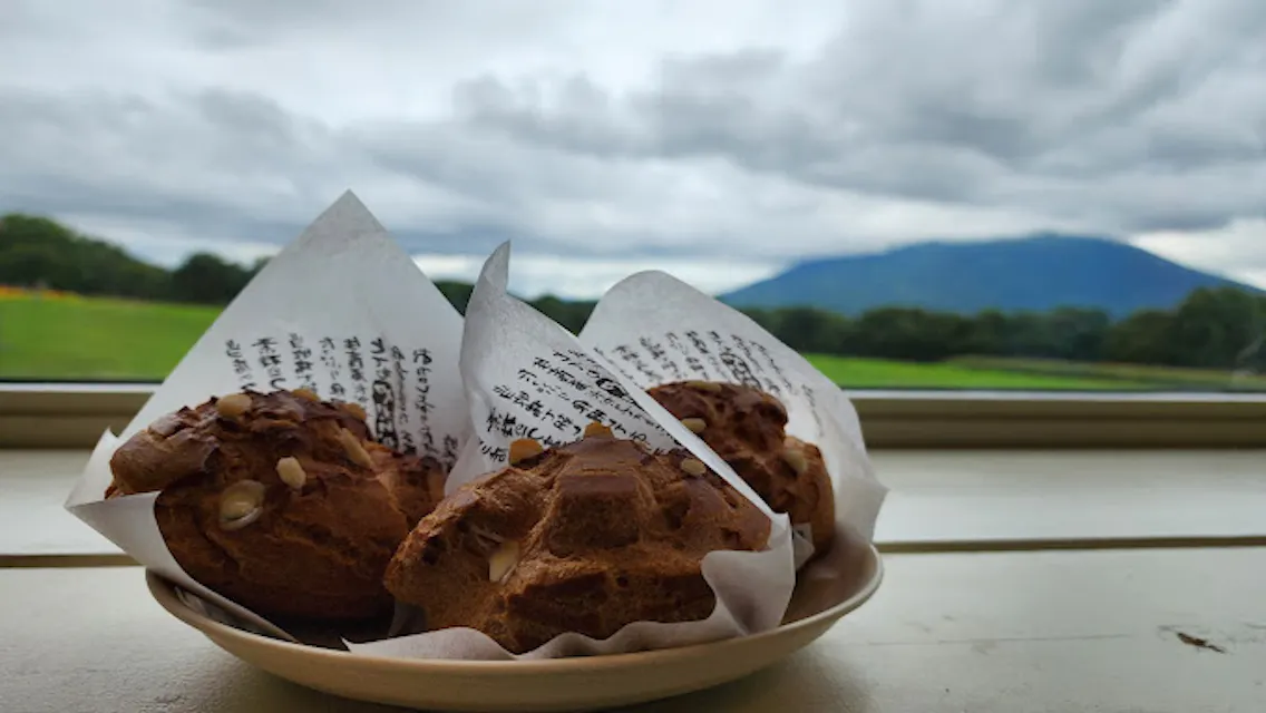 A plate of chocolate cream puffs wrapped in printed paper, placed on a windowsill. Outside, there is a scenic view of green fields and a mountain under a cloudy sky.