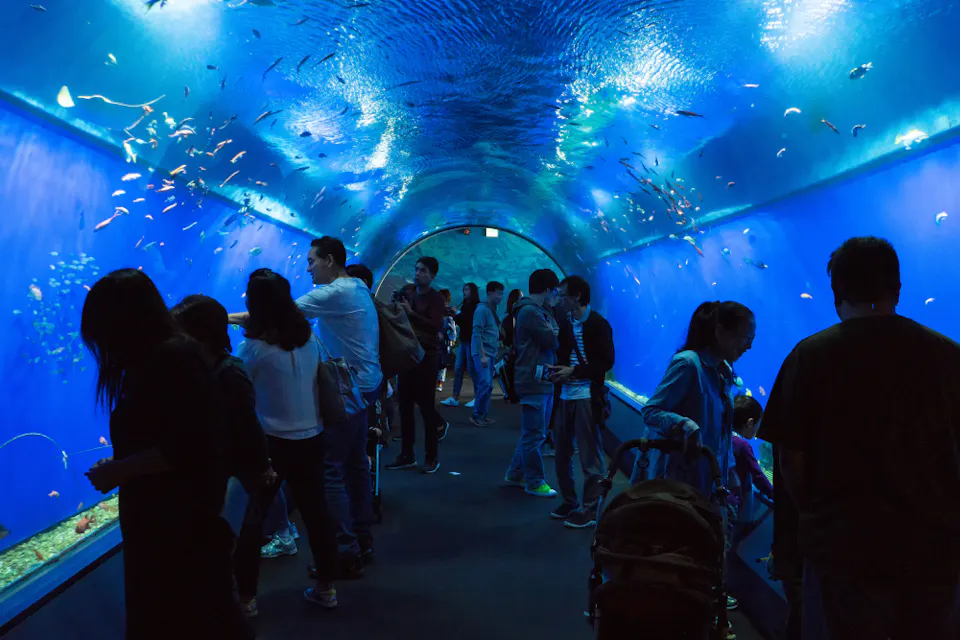 Osaka Aquarium Kaiyukan Visitors are walking through a tunnel aquarium, surrounded by vibrant blue lighting and swimming fish. The curved glass walls provide close-up views of marine life, creating an immersive underwater experience.