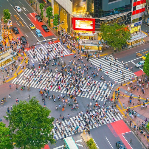 Shibuya Crossing Aerial view of a bustling city intersection with a large crowd of pedestrians crossing multiple zebra stripes. Surrounding buildings have bright advertisements, and greenery adds contrast to the urban setting.
