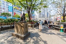 Shibuya Station's Hachiko Exit Walkway