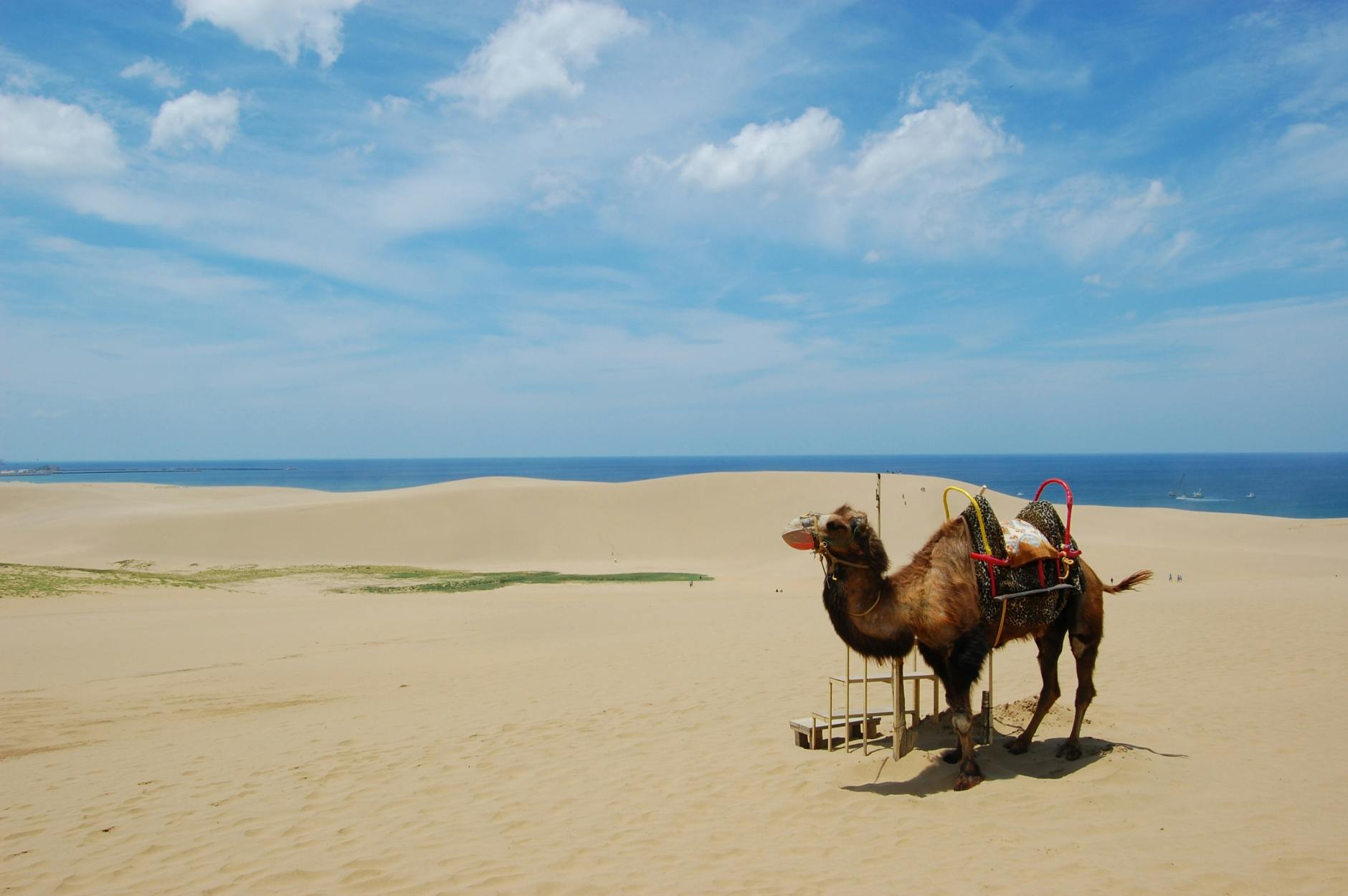 Tottori Sand Dunes