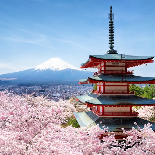 Chureito Pagoda A traditional Japanese pagoda surrounded by vibrant cherry blossoms, with the majestic Mount Fuji in the background under a clear blue sky.