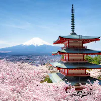 Chureito Pagoda A traditional Japanese pagoda surrounded by vibrant cherry blossoms, with the majestic Mount Fuji in the background under a clear blue sky.