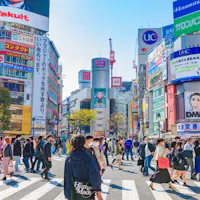 Shibuya Crossing Shibuya Crossing