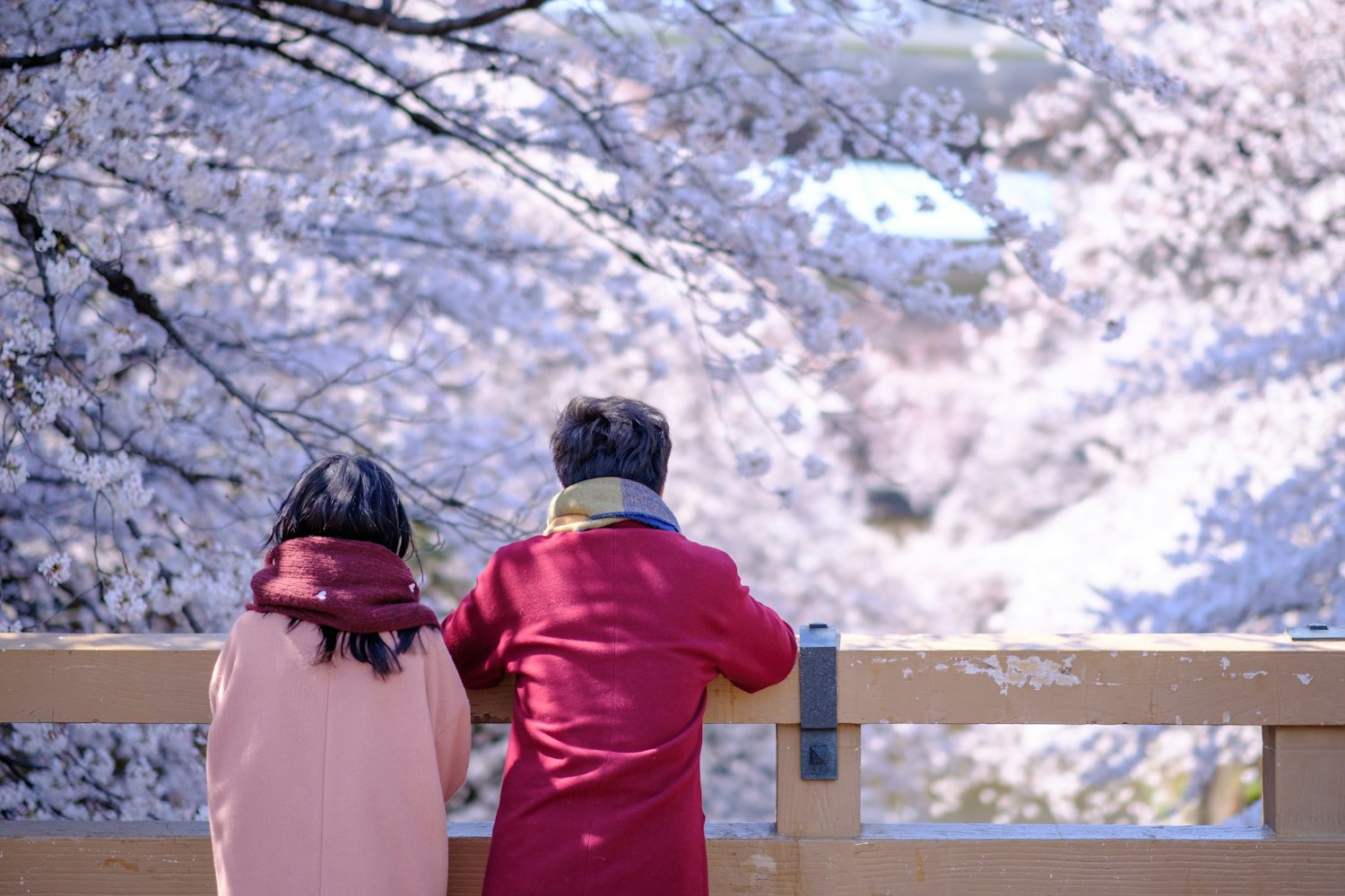 Couples' Photos in Tokyo