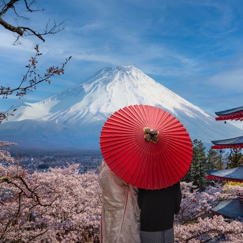 Can You See Mount Fuji from Tokyo? A couple stands under a red umbrella, facing Mount Fuji, surrounded by cherry blossoms. A traditional Japanese pagoda is on the right. The sky is clear and blue.