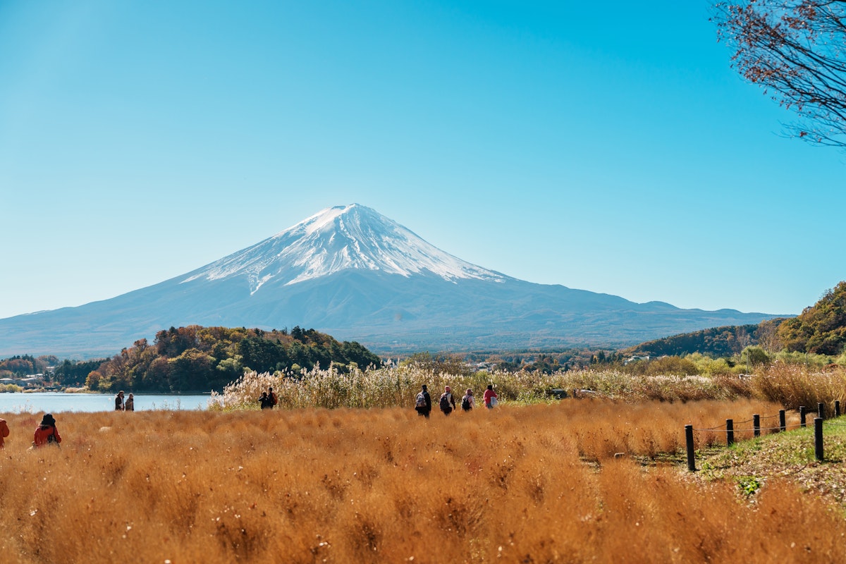 Mt. Fuji Tour A scenic view of Mount Fuji under a clear blue sky. In the foreground, people walk through a golden field of tall grass beside a calm lake. Trees with autumn foliage line the background, enhancing the picturesque landscape.
