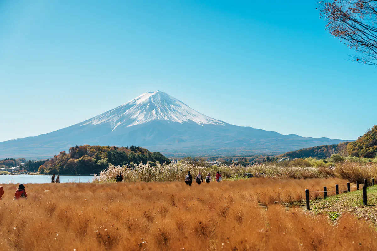 Mt. Fuji Tour A scenic view of Mount Fuji under a clear blue sky. In the foreground, people walk through a golden field of tall grass beside a calm lake. Trees with autumn foliage line the background, enhancing the picturesque landscape.