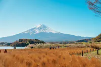 A scenic view of Mount Fuji under a clear blue sky. In the foreground, people walk through a golden field of tall grass beside a calm lake. Trees with autumn foliage line the background, enhancing the picturesque landscape.