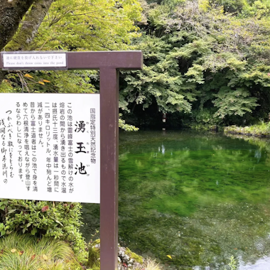 Mt.Fuji and Sake Tasting Tour Mt.Fuji and Sake Tasting Tour