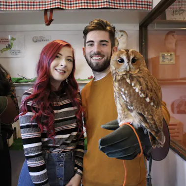 A smiling woman and man stand indoors; the man wears a glove and holds a brown owl. Both appear happy, and the room has owl-themed decor and soft lighting.