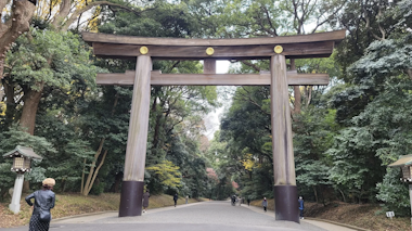 Tokyo Tour