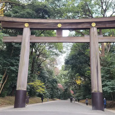 Tokyo Tour Tokyo Tour