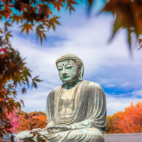 Kamakura Day Trip A large bronze Buddha statue sits serenely against a vibrant backdrop of autumn foliage with red and orange leaves. The sky is partly cloudy, providing a peaceful, tranquil atmosphere.