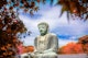 Kamakura Day Trip