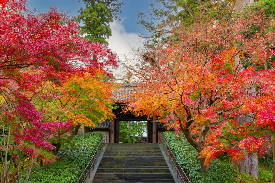 A stone staircase leads up to a traditional wooden gate, framed by vibrant autumn foliage in red, orange, and yellow hues. Green bushes line the path under a partly cloudy sky.
