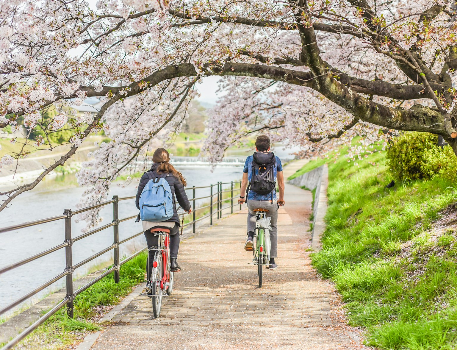 Kamo River Cycling Kamo River Cycling