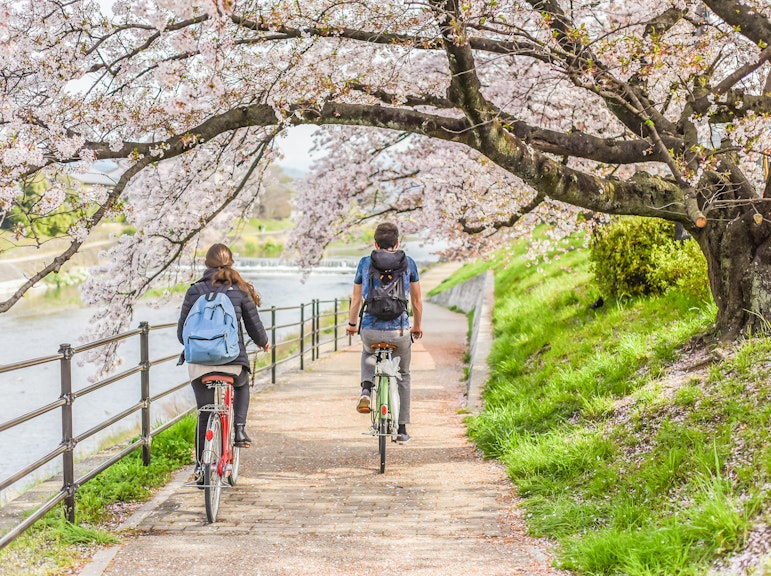 サイクリングツアー - 京都裏道ツアー
