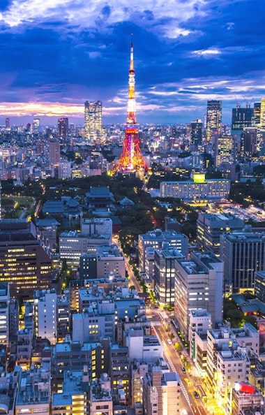 Tokyo Aerial Shot Tokyo Aerial Shot