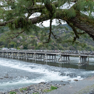 Uji Bridge Uji Bridge