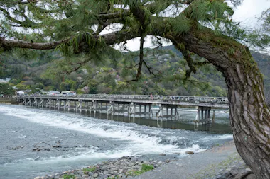 A large tree frames a wooden bridge spanning a river with gentle rapids. Hills covered in green trees rise in the background under a cloudy sky.