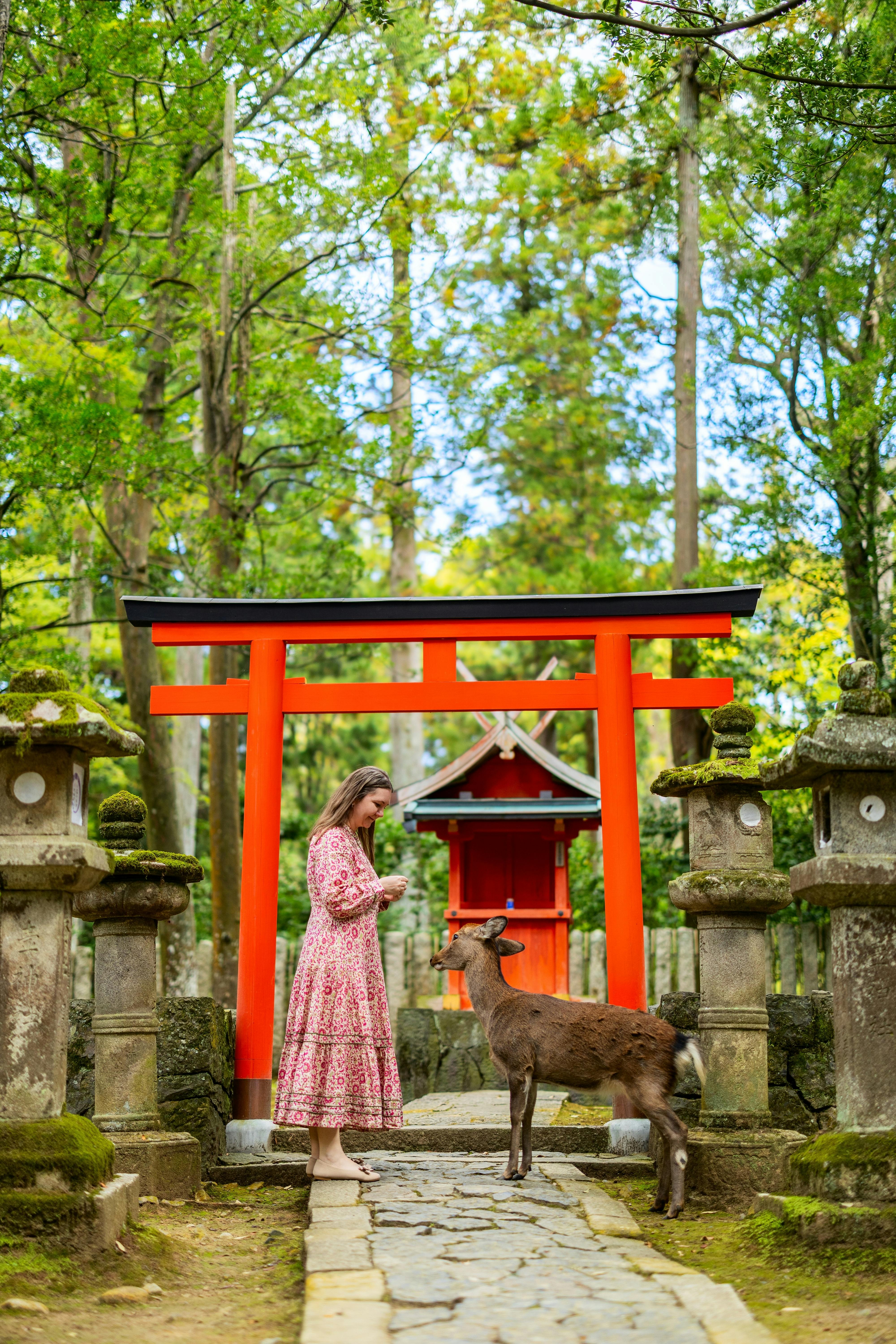 Nara Park