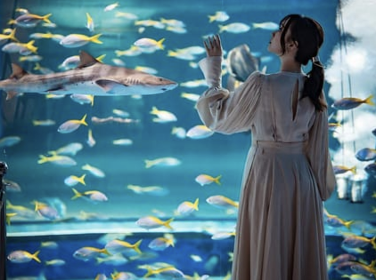 神戸都市水族館 AQUARIUM×ART átoa 入場券