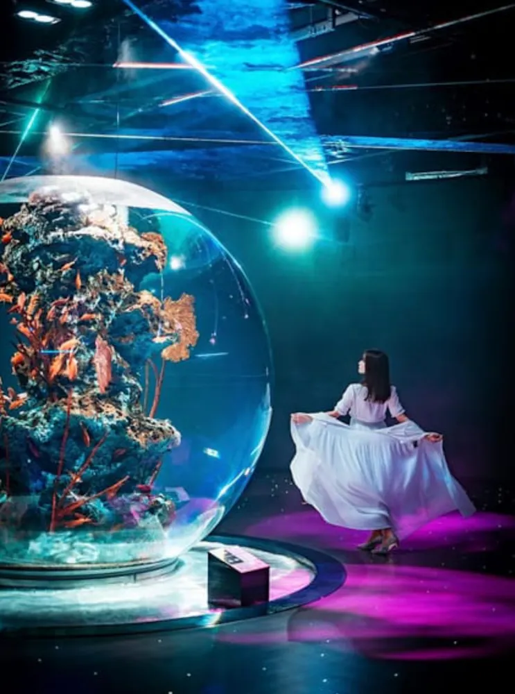 AQUARIUM×ART átoa
