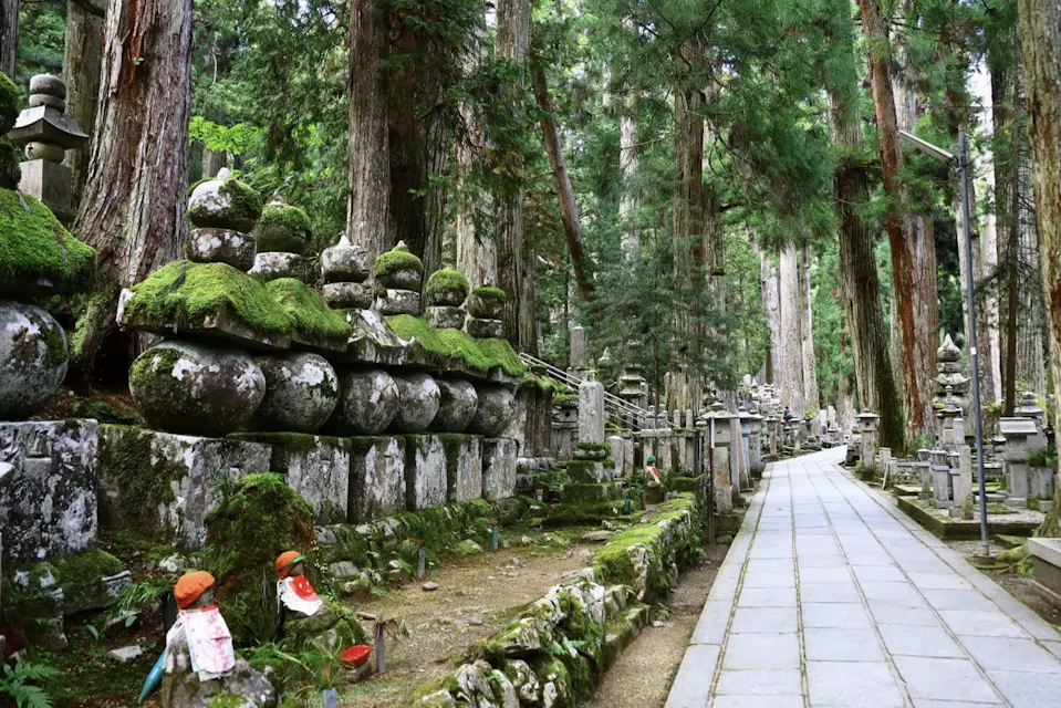 Mt Koya and Kumano Kodo Tour