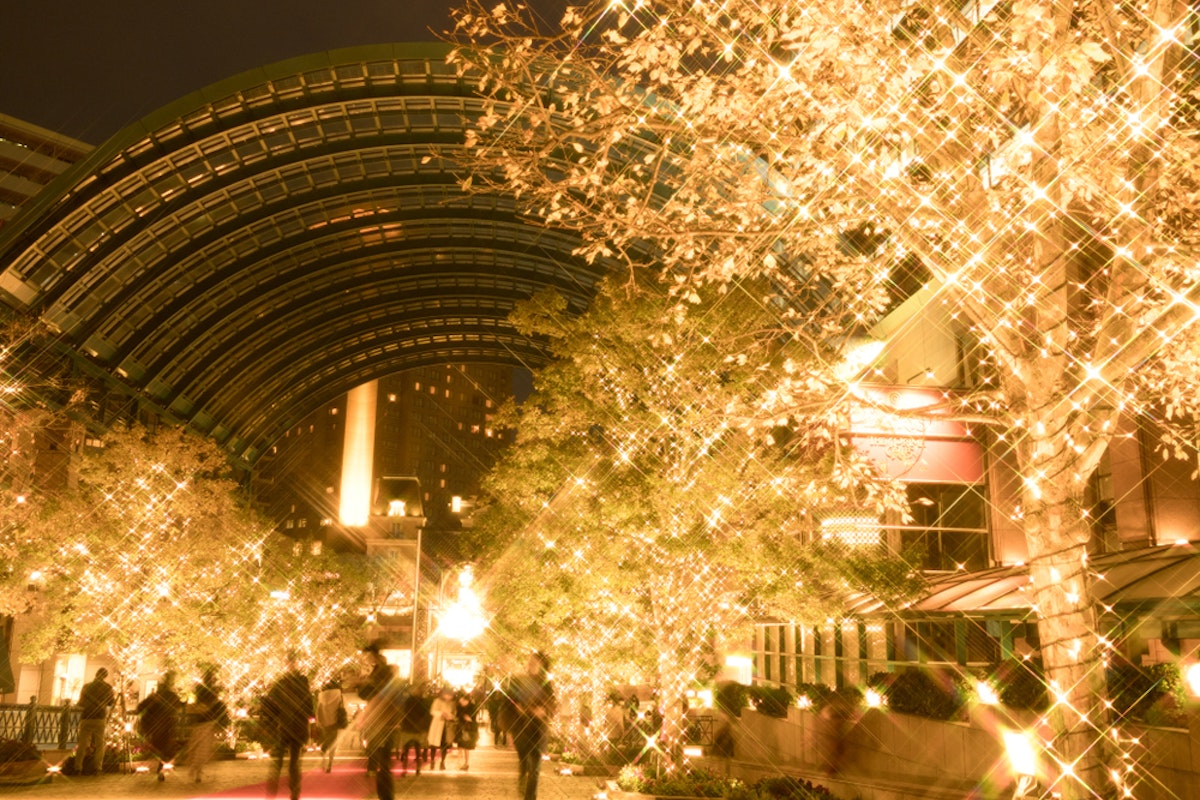 Christmas illumination of Yebisu Garden Place A nighttime scene of a pedestrian walkway adorned with sparkling holiday lights. Trees are wrapped in golden lights, creating a festive atmosphere. People are strolling beneath an arched structure, enjoying the illuminated surroundings.