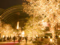 A nighttime scene of a pedestrian walkway adorned with sparkling holiday lights. Trees are wrapped in golden lights, creating a festive atmosphere. People are strolling beneath an arched structure, enjoying the illuminated surroundings.