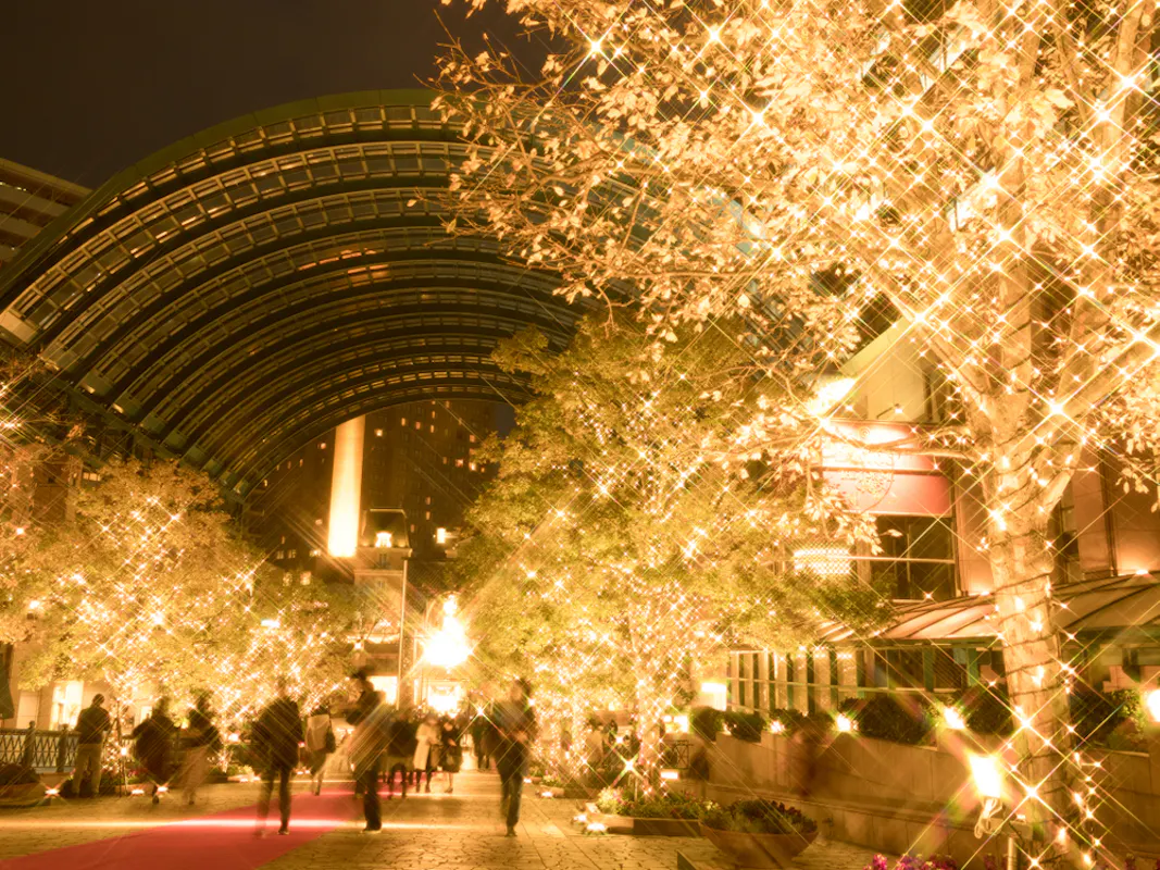 A nighttime scene of a pedestrian walkway adorned with sparkling holiday lights. Trees are wrapped in golden lights, creating a festive atmosphere. People are strolling beneath an arched structure, enjoying the illuminated surroundings.