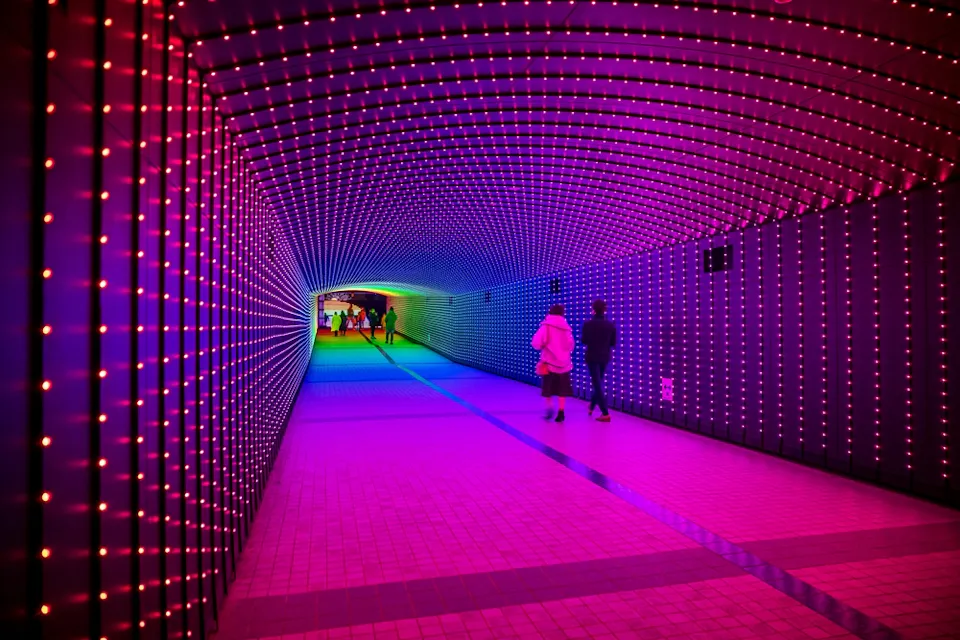 Oi Racecourse Tokyo Mega Illumination