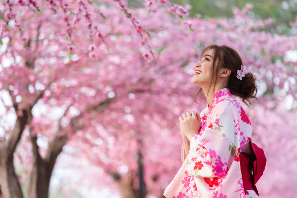 A woman in a floral kimono admires cherry blossoms in full bloom. The vibrant pink flowers fill the background, creating a serene and joyful atmosphere. The woman's hair is adorned with matching blossoms, enhancing the scene's beauty.