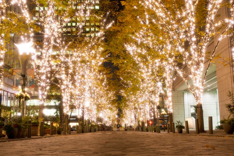 Tokyo's illuminations usually start in November and run past New Year. Rows of trees wrapped in thousands of warm white Christmas lights along a Tokyo street at night