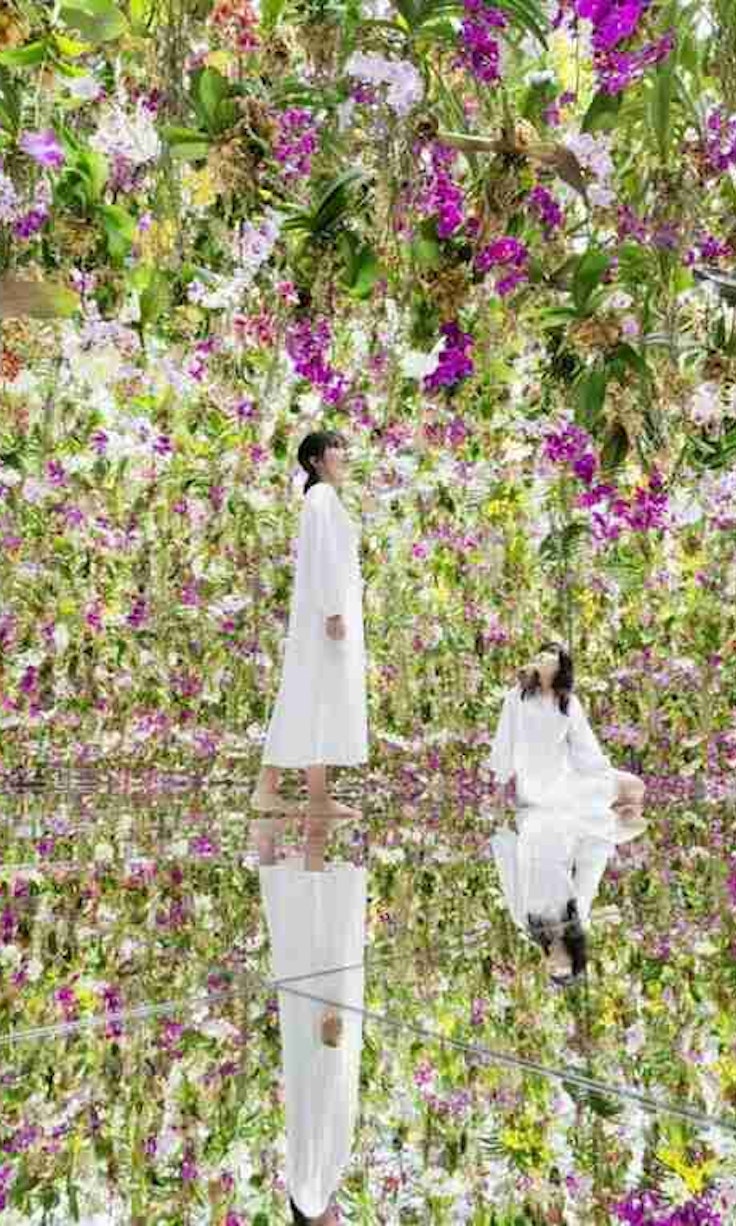 teamLab Planets Tokyo Entry Ticket – Digital Art Museum - Trip To Japan
