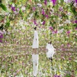 teamLab 플래닛 도쿄 입장권 – 디지털 아트 뮤지엄