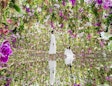 teamLab 플래닛 도쿄 입장권 – 디지털 아트 뮤지엄
