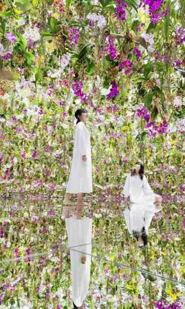 Teamlab Planets Tokyo Teamlab Planets Tokyo