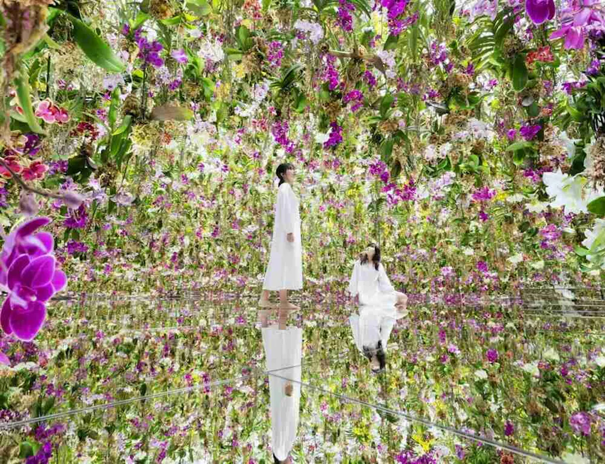 Teamlab Planets Tokyo Teamlab Planets Tokyo