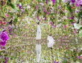 Teamlab Planets Tokyo