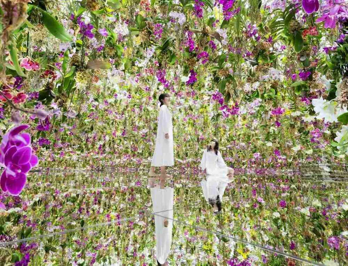 Teamlab Planets Tokyo