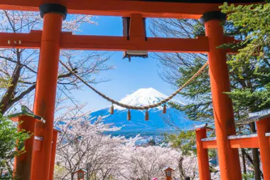 Mt.Fuji Area Tour