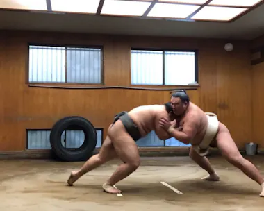 Sumo Morning Practice Tour