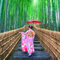 Arashiyama Arashiyama