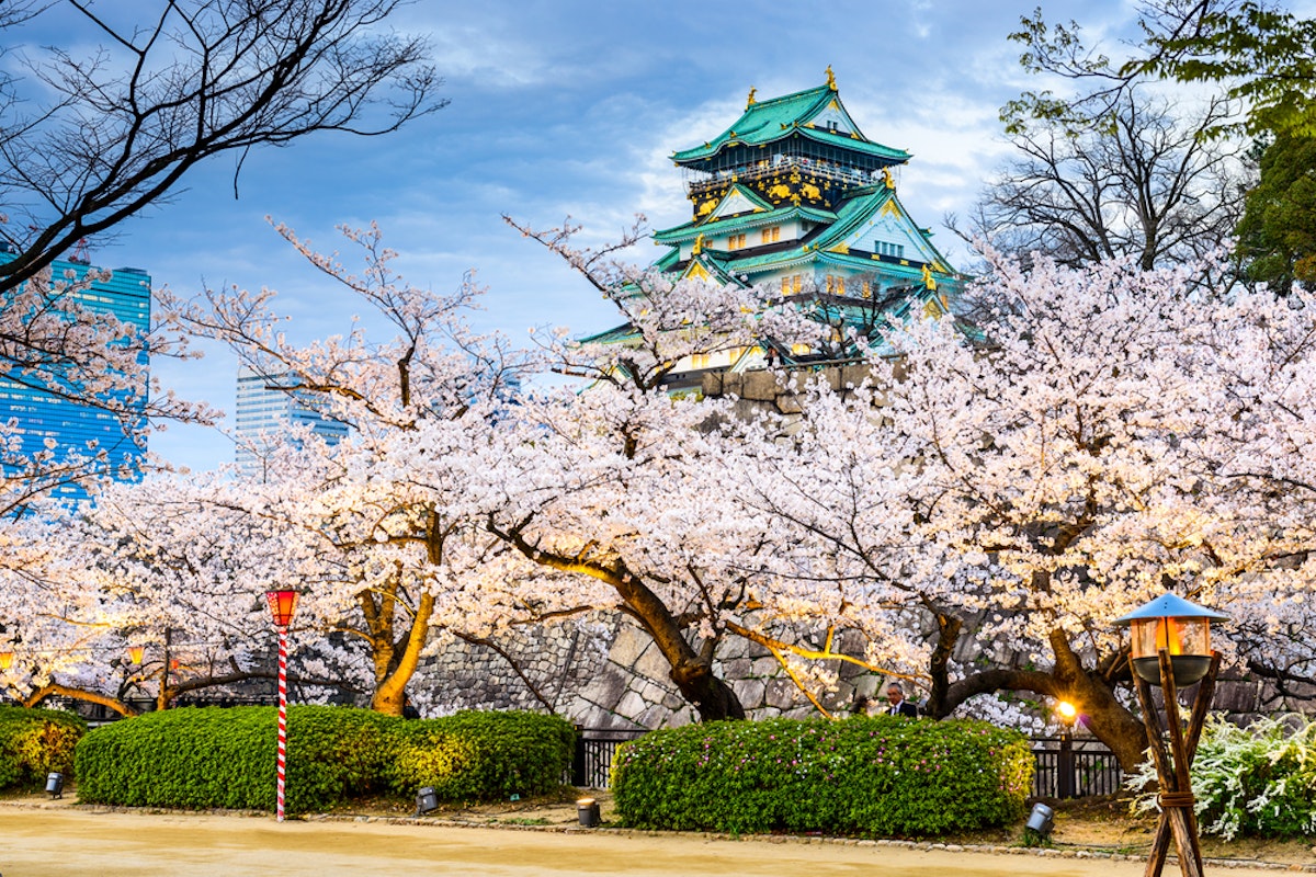 Osaka Castle Park and Nishinomaru Garden A majestic castle with green and gold roofs stands amid blooming cherry blossom trees. The foreground features a stone path with traditional lanterns and manicured shrubs. The scene captures a blend of nature and historic architecture under a cloudy sky.