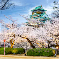 Osaka Castle Park and Nishinomaru Garden Osaka Castle Park and Nishinomaru Garden